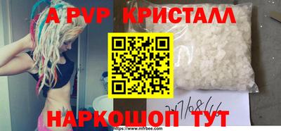 спиды Новозыбков